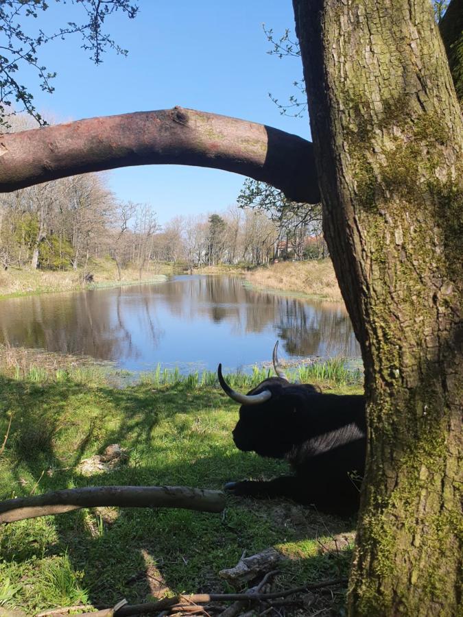 Scheveningen Sea Side Gasthuis Den Haag