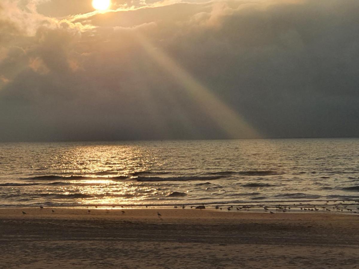 Scheveningen Sea Side 4* Den Haag